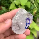 specimen video