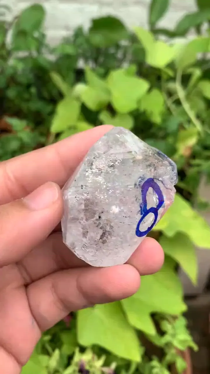 specimen video