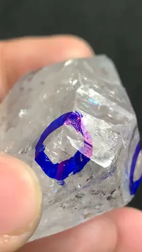 specimen video