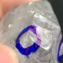 specimen video