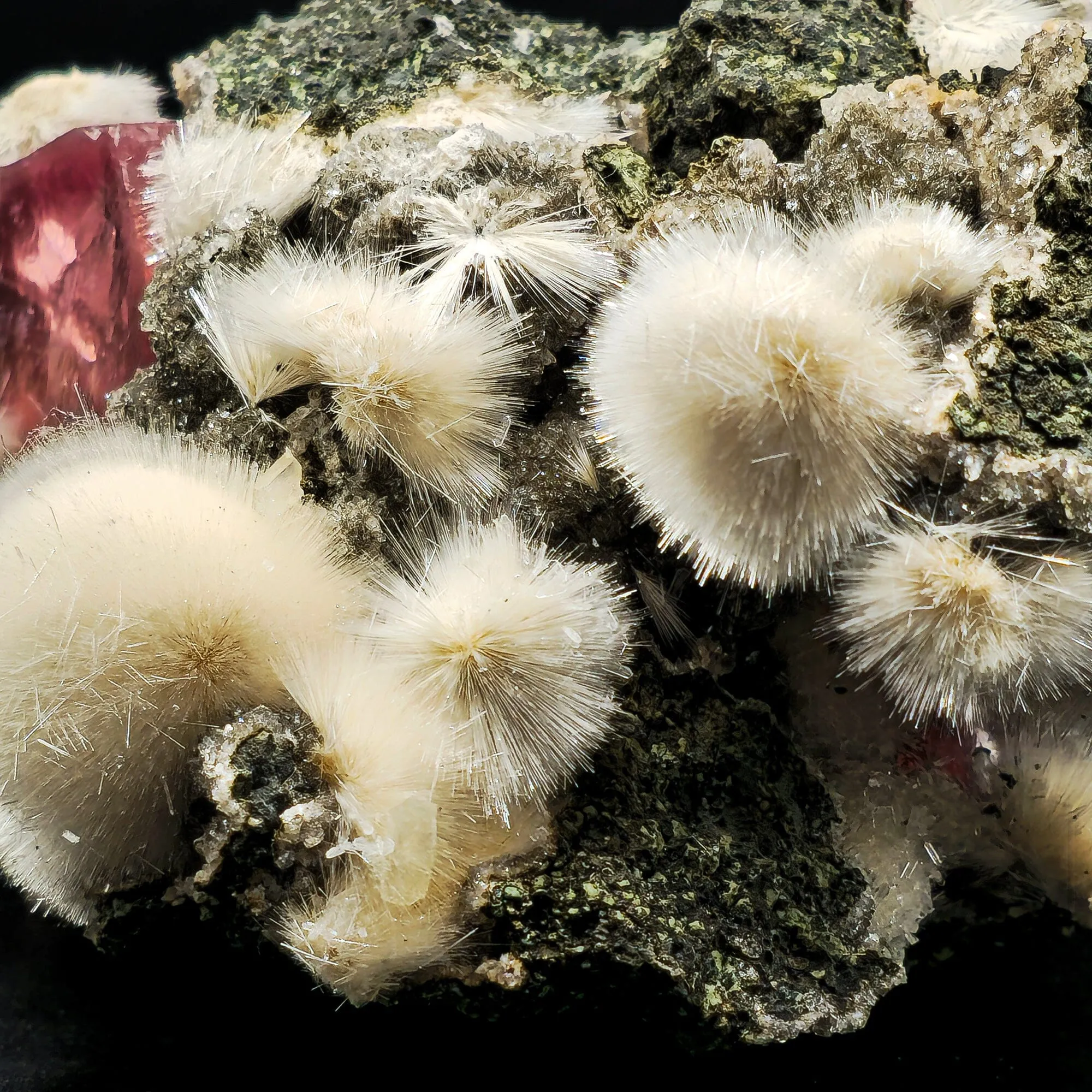 Rare Huge Moldy Raspberry Calcite with Mesolite Natural Mineral Specimen. - image 6