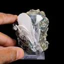 Rare Iridescent Pyrite with Calcite , Babingtonite – UV Reactive Collector Display Mineral Specimen from Mumbai - image 7