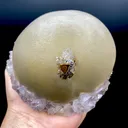 Rare Jumbo Botryoidal Fluorite  – Indian Zeolite Mineral Specimen from Madhya Pradesh DK108 - image 5