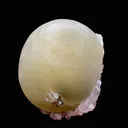 Rare Jumbo Botryoidal Fluorite  – Indian Zeolite Mineral Specimen from Madhya Pradesh DK108 - image 4
