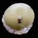 Rare Jumbo Botryoidal Fluorite  – Indian Zeolite Mineral Specimen from Madhya Pradesh DK108 - image 5