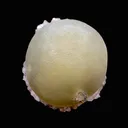 Rare Jumbo Botryoidal Fluorite  – Indian Zeolite Mineral Specimen from Madhya Pradesh DK108 - image 2