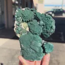 Rare Marshy Green Apophyllite Self-Standing Crystal | Jalgaon, India | 5” Natural Zeolite Mineral Specimen - image 5