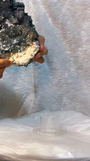 specimen video