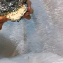 specimen video
