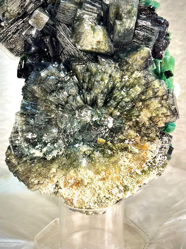 Rare Marshy Green Disco Apophyllite Sunflower Cluster with Okenite Inclusions & Chalcedony Matrix - Premium Indian Zeolite Specimen - image 2