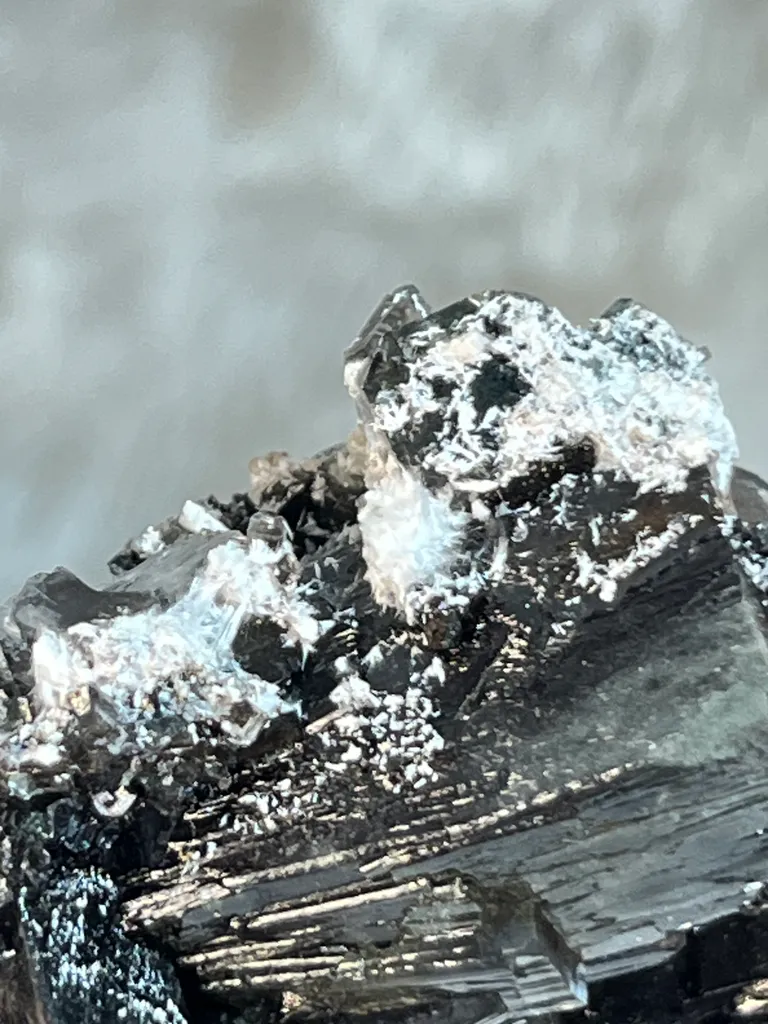 Rare Marshy Green Disco Apophyllite Sunflower Cluster with Okenite Inclusions & Chalcedony Matrix - Premium Indian Zeolite Specimen - image 9
