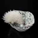 Rare Museum-Grade White Mesolite Spray on Heulandite Matrix – Self-Standing Natural Zeolite Mineral Specimen from Pune, India - image 4