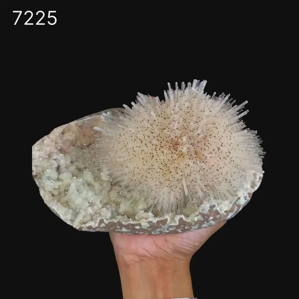 Rare Museum-Grade White Mesolite Spray on Heulandite Matrix – Self-Standing Natural Zeolite Mineral Specimen from Pune, India - image 2