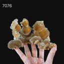 Rare New Find Brown Thomsonite  Natural Mineral Specimen - image 5