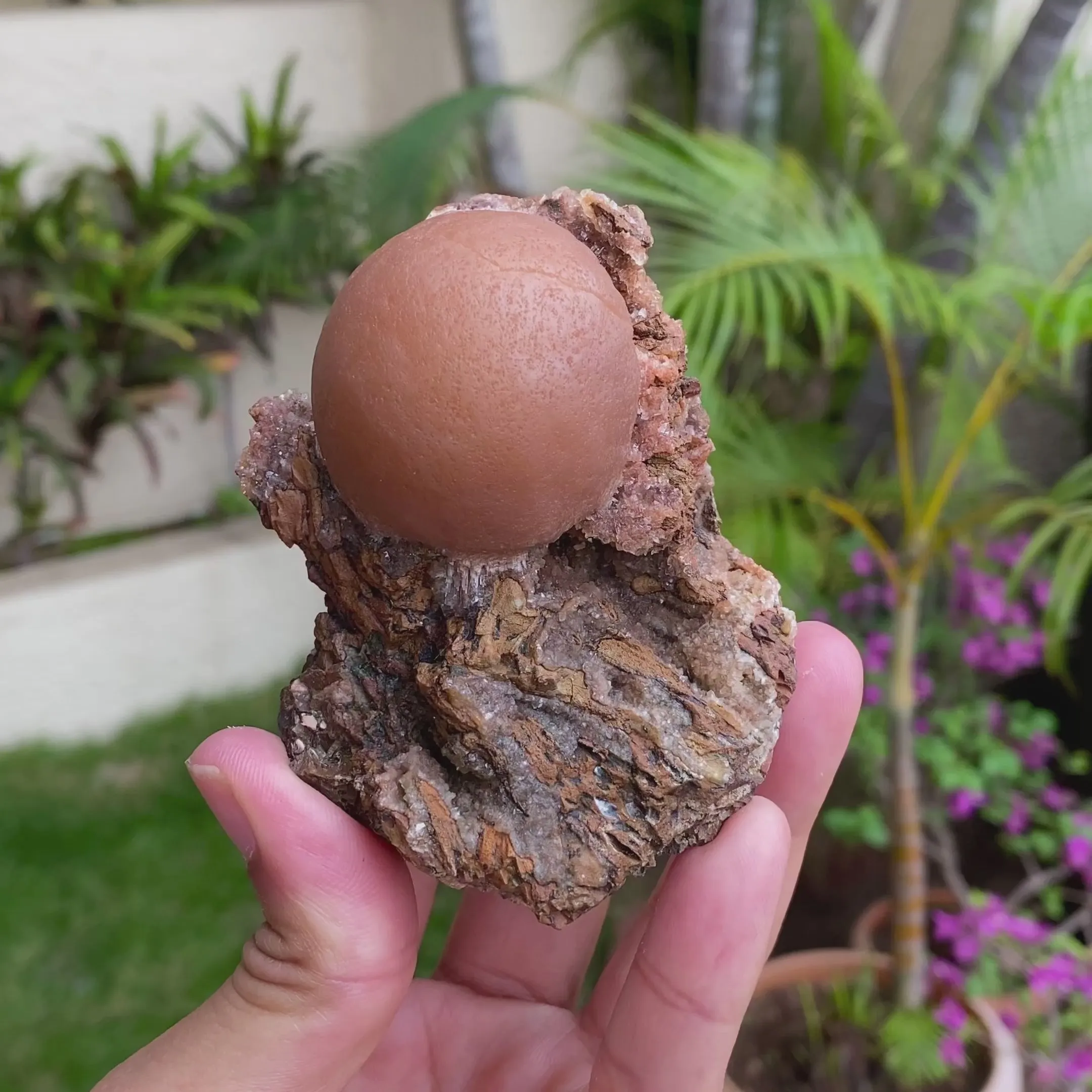 Rare New Find Thomsonite Natural Mineral Specimen - image 6