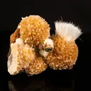 Rare New Find Thomsonite with Mesolite Natural Mineral Specimen - image 2