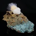 Rare New Find Thomsonite with Mesolite Natural Mineral Specimen - image 2