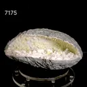 Rare Okenite Puffballs with Quartz & Chalcedony in Large Geode – Old School Mumbai, Natural Mineral Specimen - image 2