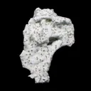 Rare Okenite with Chalcedony – Fibrous Indian Zeolite Mineral Specimen - image 2