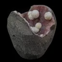 Rare Okenite With MM Quartz Natural Mineral Specimen - image 2