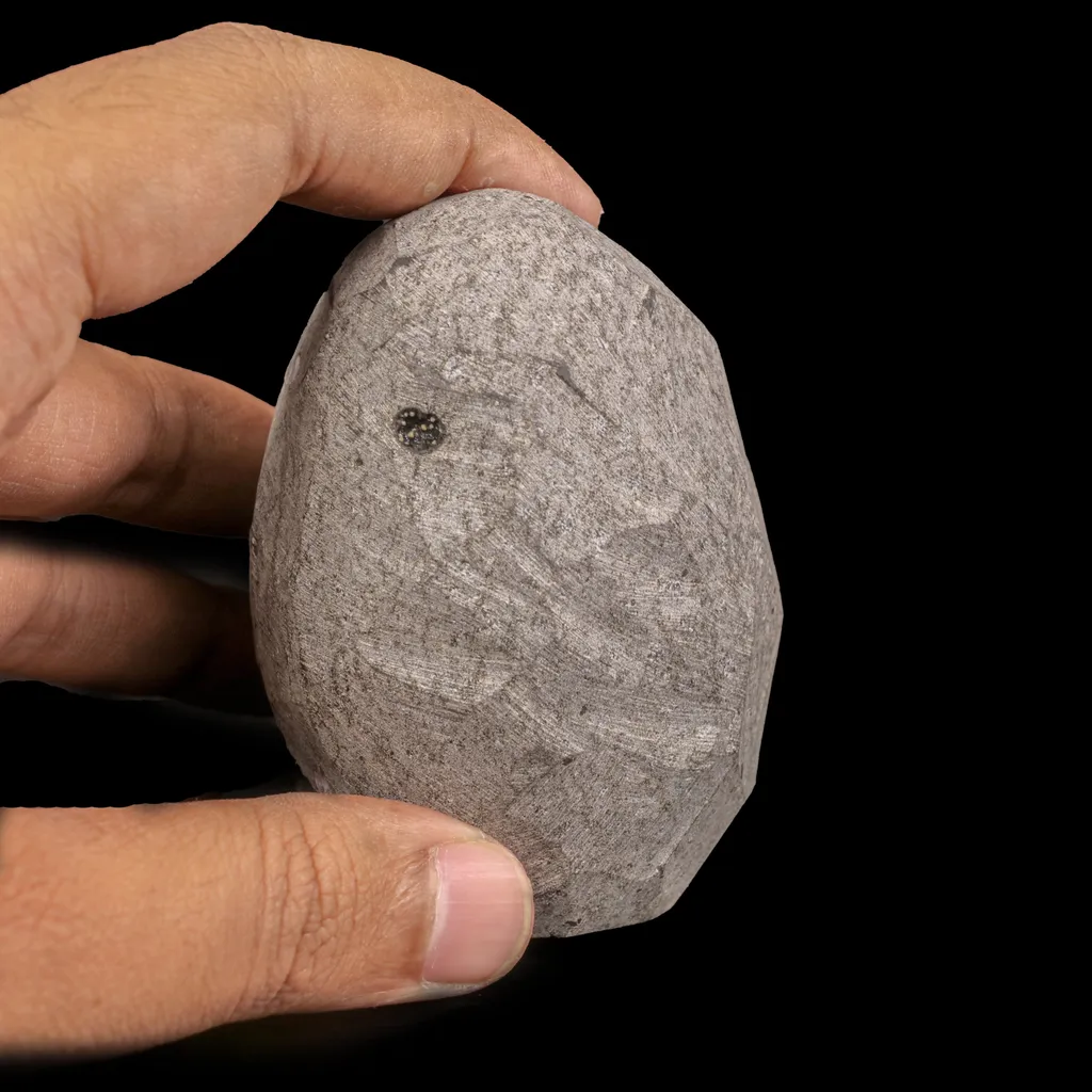 Rare Okenite With MM Quartz Natural Mineral Specimen - image 4