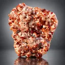 Rare Orange-Red Spessarite Garnet Crystals with Quartz on Matrix - image 9