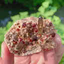 specimen video