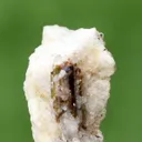Rare Parisite on Matrix From Zagi Mountains KPK Pakistan - image 3