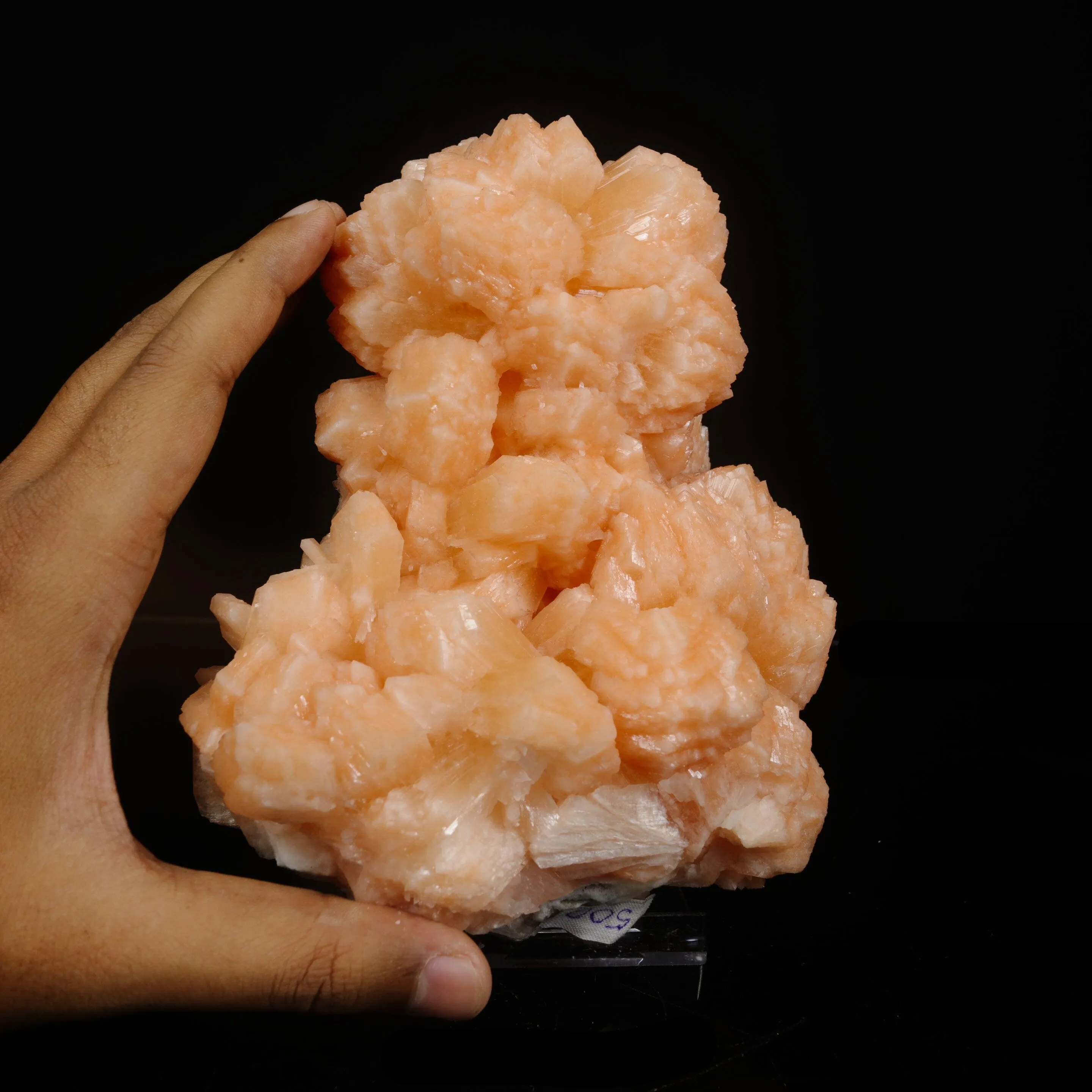 Rare Peach Stilbite Crystal Cluster – Premium Indian Zeolite Mineral Specimen - image 4