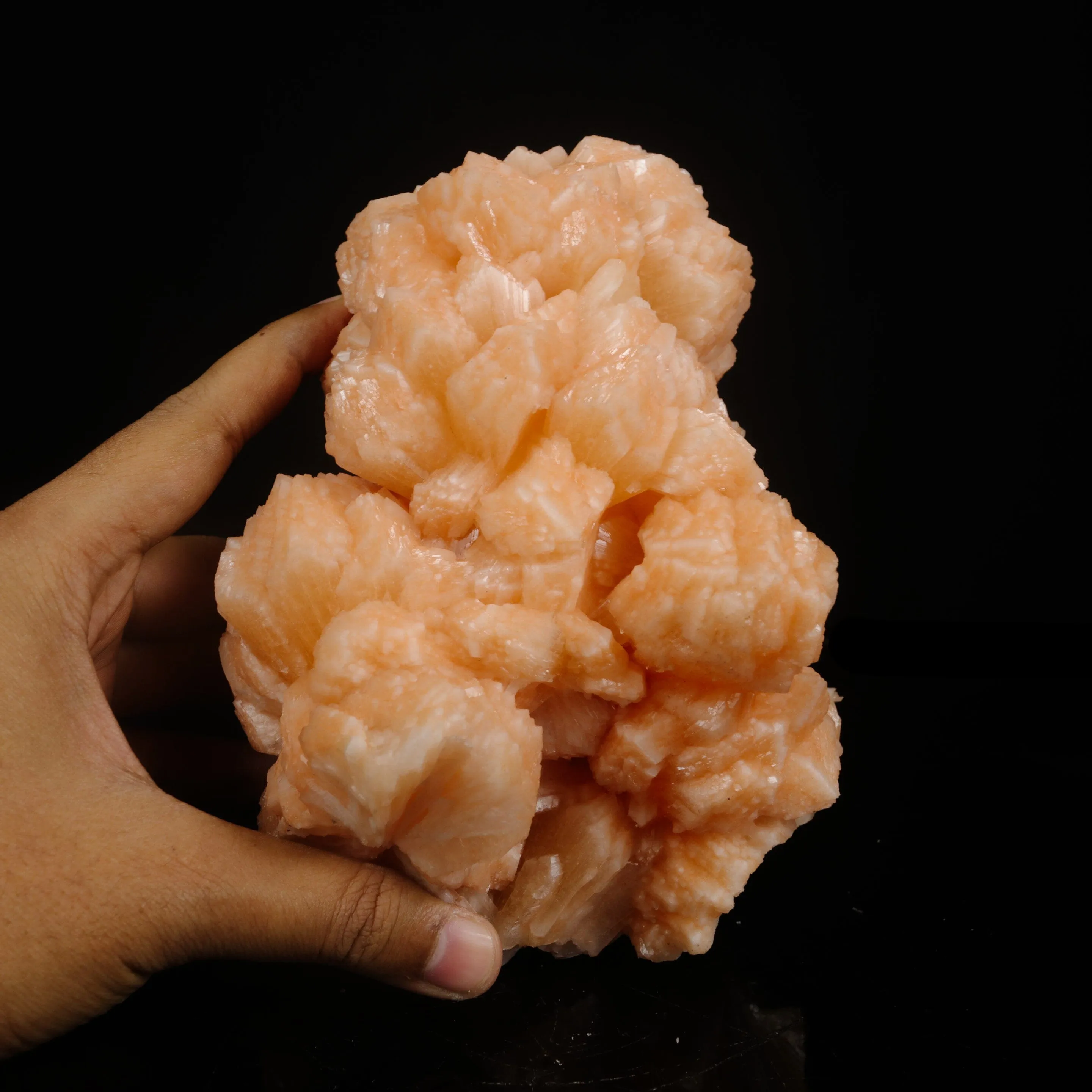 Rare Peach Stilbite Crystal Cluster – Premium Indian Zeolite Mineral Specimen - image 5