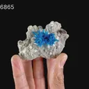 Rare Pentagonite Natural Mineral Specimen - image 5