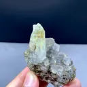specimen video