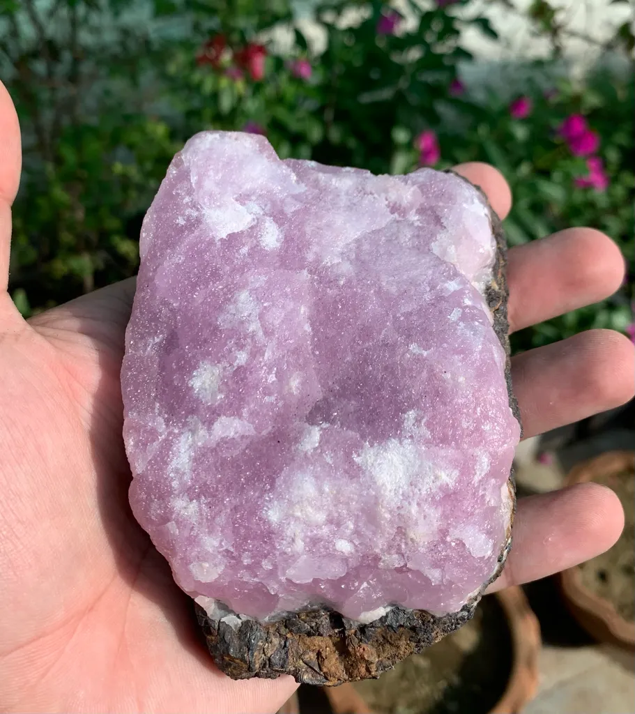 Rare Pink Aragonite Specimen from Afghanistan - image 9