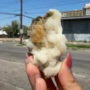 Rare Powellite Crystal on Stilbite – Natutal Zeolite Specimen from Nashik - image 2
