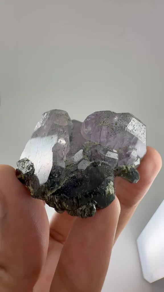 specimen video