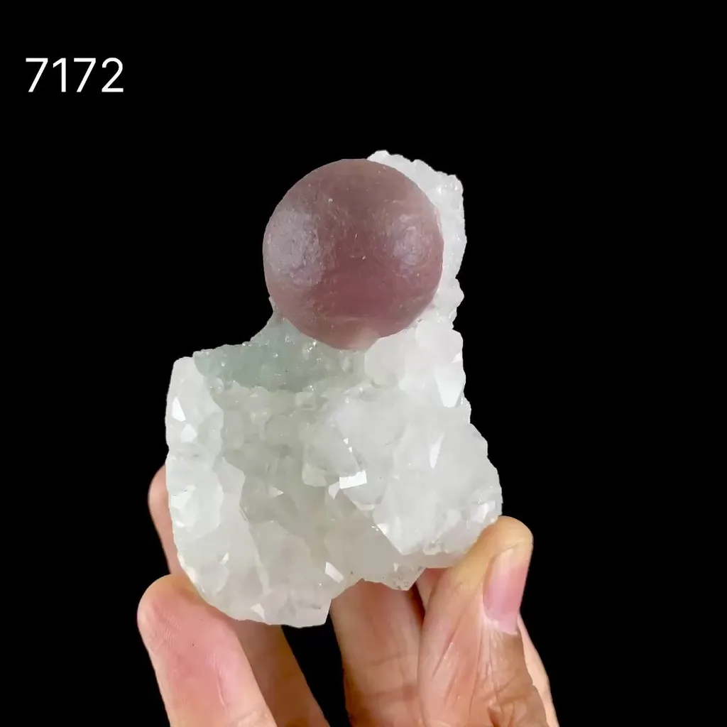 Rare Purple Botryoidal Fluorite on Quartz Natural Mineral Specimen from Madhya Pradesh - image 6