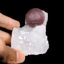 Rare Purple Botryoidal Fluorite on Quartz Natural Mineral Specimen from Madhya Pradesh - image 4