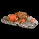 Rare Red Botryoidal Fluorite Balls on Calcite, Natural Mineral Specimen - image 8