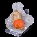 Rare Red Botryoidal Fluorite with Dog Tooth UV Calcite, Natural Mineral Specimen - image 3