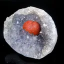 Rare Red Botryoidal Fluorites Natural mineral Specimen - image 2