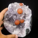 Rare Red Botryoidal Fluorites Natural mineral Specimen - image 4