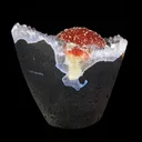 Rare Red Botryoidal Fluorites Natural mineral Specimen - image 5