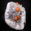 Rare Red Botryoidal Fluorites Natural mineral Specimen - image 2