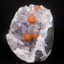 Rare Red Botryoidal Fluorites Natural mineral Specimen - image 3