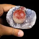 Rare Red Botryoidal Fluorites Natural mineral Specimen - image 4
