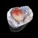 Rare Red Botryoidal Fluorites Natural mineral Specimen - image 3