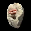 Rare Red Epistilbite on Quartz Vug - Indian Zeolite Crystal Specimen from Nashik - image 5