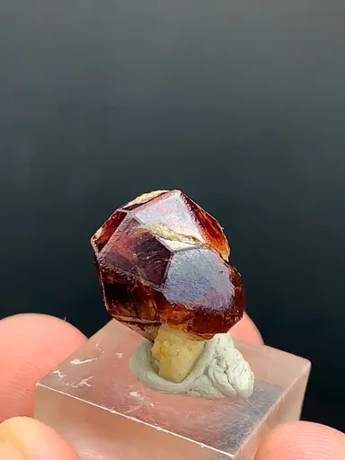 specimen video