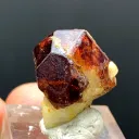 Rare Red Garnet on Matrix  from Pakistan, Gilgit-Baltistan, Skardu District - image 6