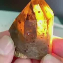 specimen video